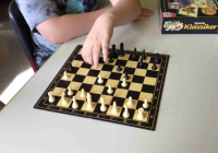 Bild Schach Partie 1 (2)