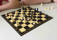Bild Schach Partie 1 (5)