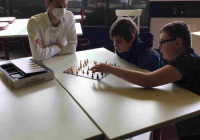 Bild Schach Partie 2 (11)