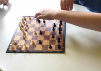 Bild Schach Partie 2 (9)
